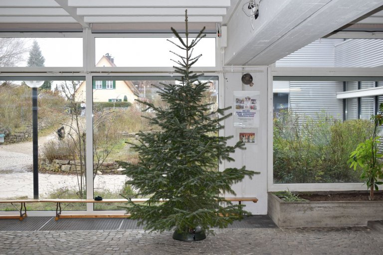 weihnachtsbaum_2